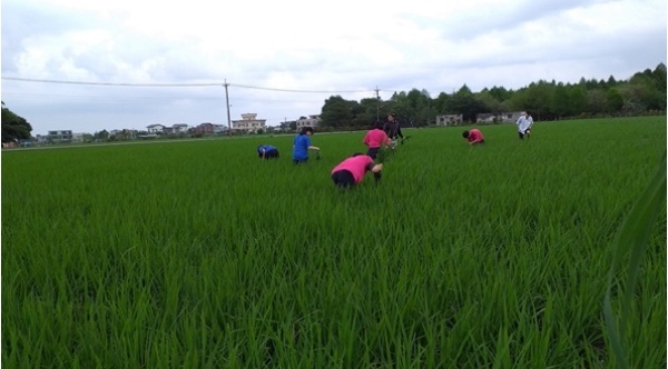 宜蘭學課程結合農業主題