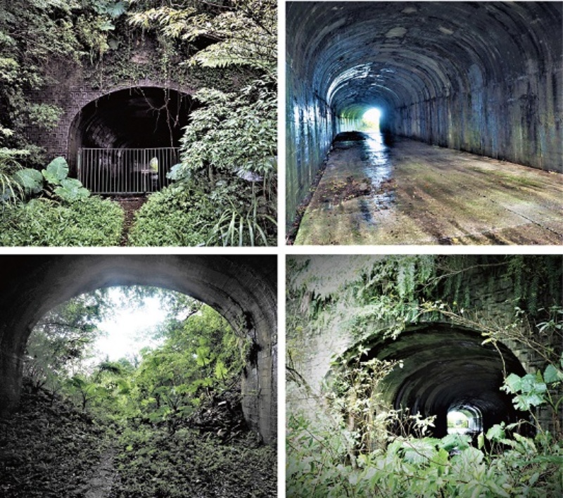 左上：隧道北口設置鐵欄杆門控管。（陳財發提供） / 右上：隧道內構體採RC混凝土建材。（陳財發提供） / 左下：隧道南口未設鐵欄杆門。（陳財發提供） / 右下：洞口荊棘叢生阻擋通路。（陳財發提供）
