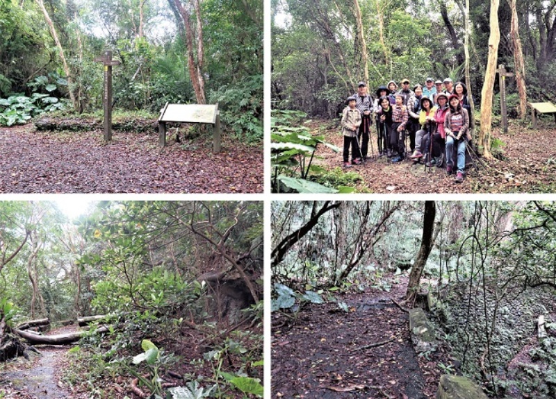 左上：位於大南澳嶺山麓下的朝陽里昔稱「娜娘仔」聚落，居民循蘇花古道上山採薪墾殖，在地人叫這條陡峭的山路為「娜娘仔崎」。（陳財發提供） / 右上：崎頂與舊公路交會處是急轉彎，路面較寬，戒嚴期興建碉堡一座，以維護軍事運輸的暢通。（陳財發提供） / 左下：樹倒枯木橫躺路面，是拋荒公路的景象之一。（陳財發提供） / 右下：石砌的路基坡崁安然無恙。（陳財發提供）