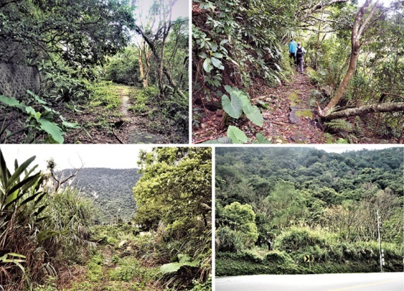 左上：泥磚砌築的擋土牆依舊守護山壁。（陳財發提供） / 右上：局部路段已被土石流覆蓋到公路邊緣了。（陳財發提供） / 左下：前面隆起土丘為新舊公路的區隔線。（陳財發提供） / 右下：志工站在小丘上，就是舊公路180 度轉灣下坡的位置。（陳財發提供）