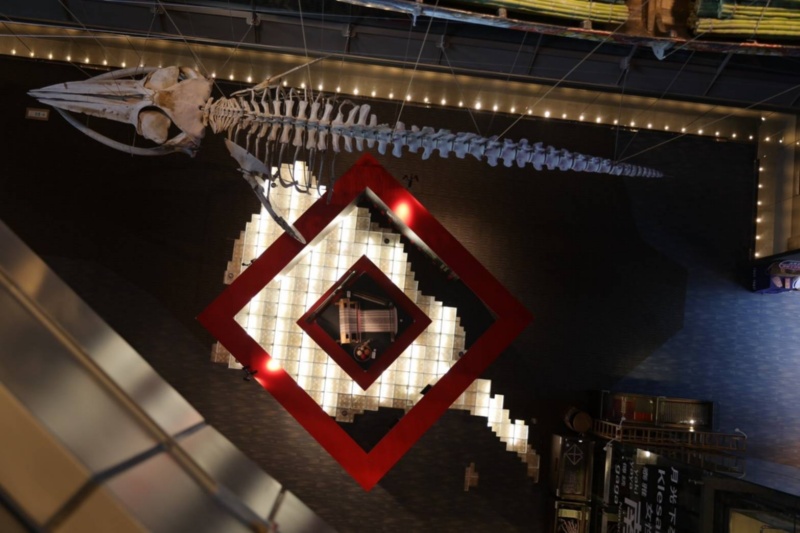 由平原層往常新展區視角，清楚看見展區以泰雅族傳統裝飾核心紋樣的菱形紋進行設計。