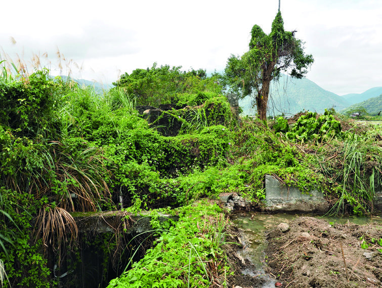 如今，其建構早被菅芒雜木覆蓋不彰了。（陳財發提供）