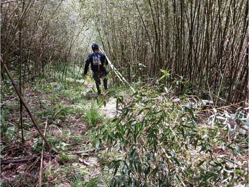 在孤棧棧尾還需要一根又長又韌，帶有葉子的桂竹，掛上順風旗，風雨不驚，保佑四季平安。