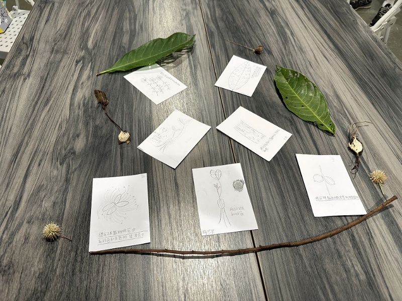 學生發揮創意將自己觀察記錄與植物標本採集進行成果展示。