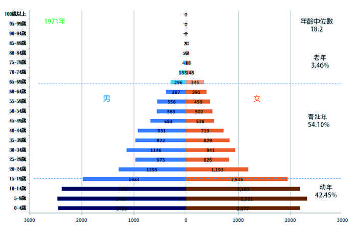 圖8：1971 年頭城鎮之人口金字塔分析圖 （來源：張政亮繪製）。