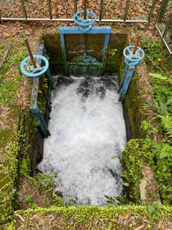 圖1：枕山圳進水口。