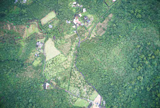 圖1：埤尾坑。