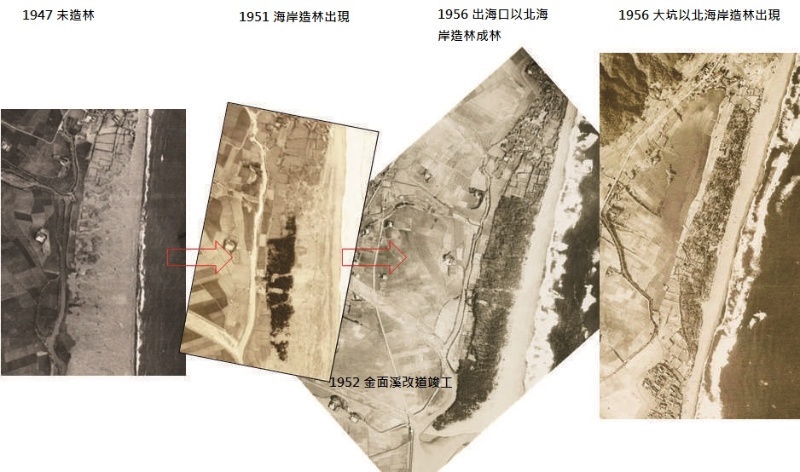 圖7： 1947~1956 年頭城地區海岸造林變化 ( 來源：中央研究院地理資訊科學研究專題中心 )。