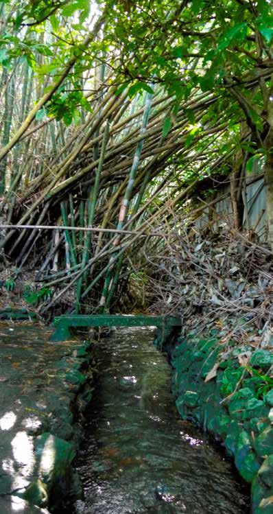 圖1：摸乳仔溝。