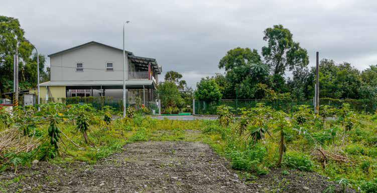 圖2：蘭城路北即相思仔林。