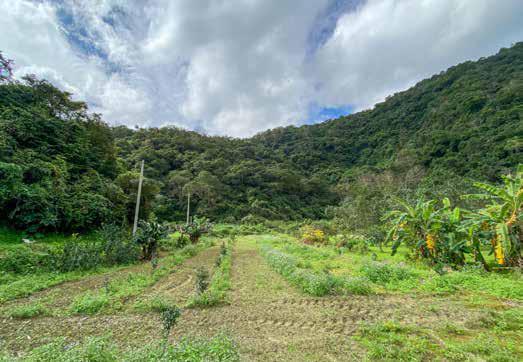 圖9：草湖仔底已填土成陸。