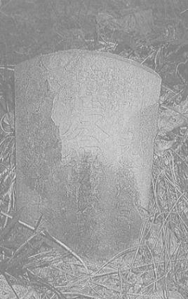 圖5：祥光寺後山清兵湛得勝墓[註6]。