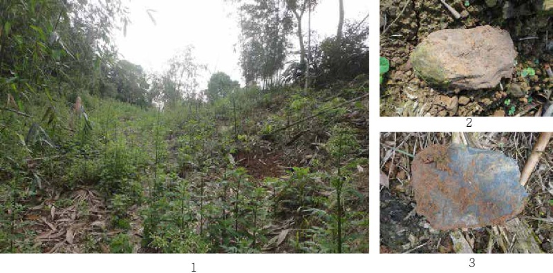 圖2：1.枕頭山南端西南側緩坡 / 2. 員山枕頭山遺址-打製石斧殘件 / 3. 員山枕頭山遺址-打製石斧半截。