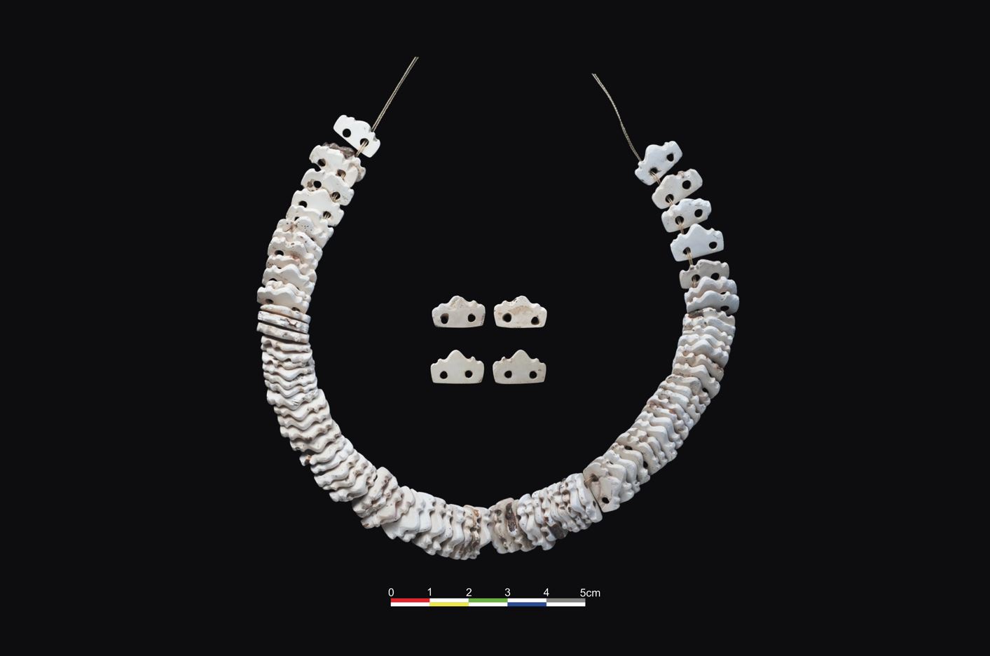 貝片串飾（文化部文化資產局提供）