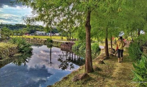 圖八：公埔圳生態公園∕康素真攝