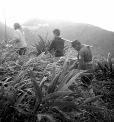 央請駐軍幫忙挑祭品上墓仔埔祭拜祖先（黃初芬提供）