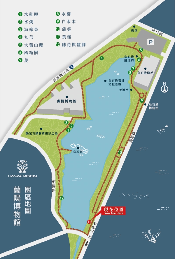 園區導覽地圖：現在位置11-黃槿
