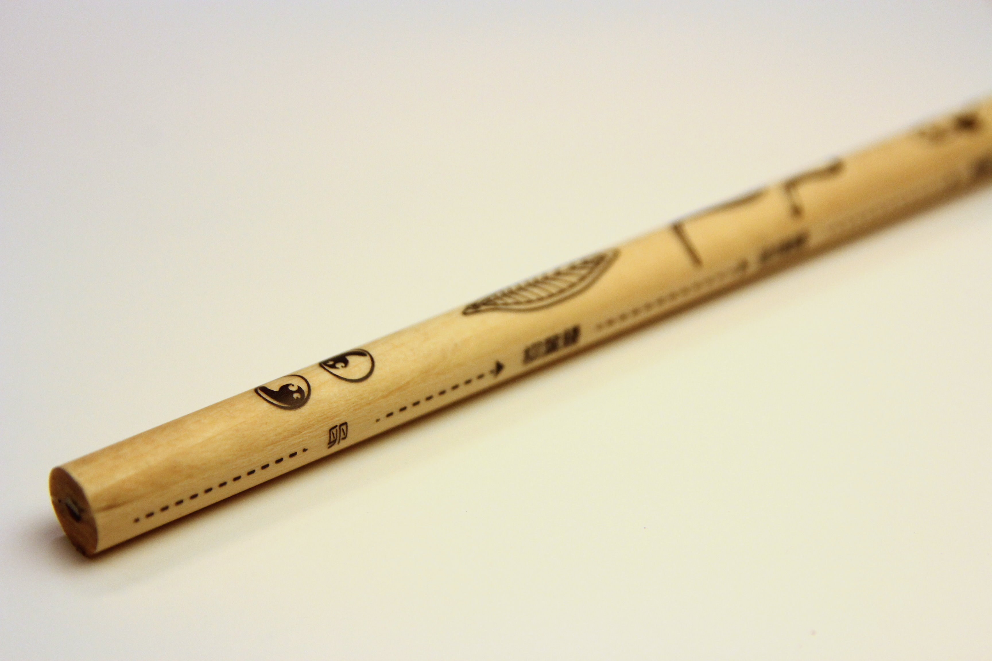 小鰻魚鉛筆-近照