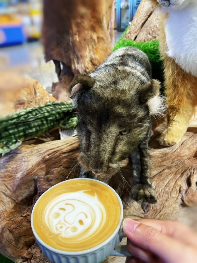 啾咕咖啡飲品與動物布偶