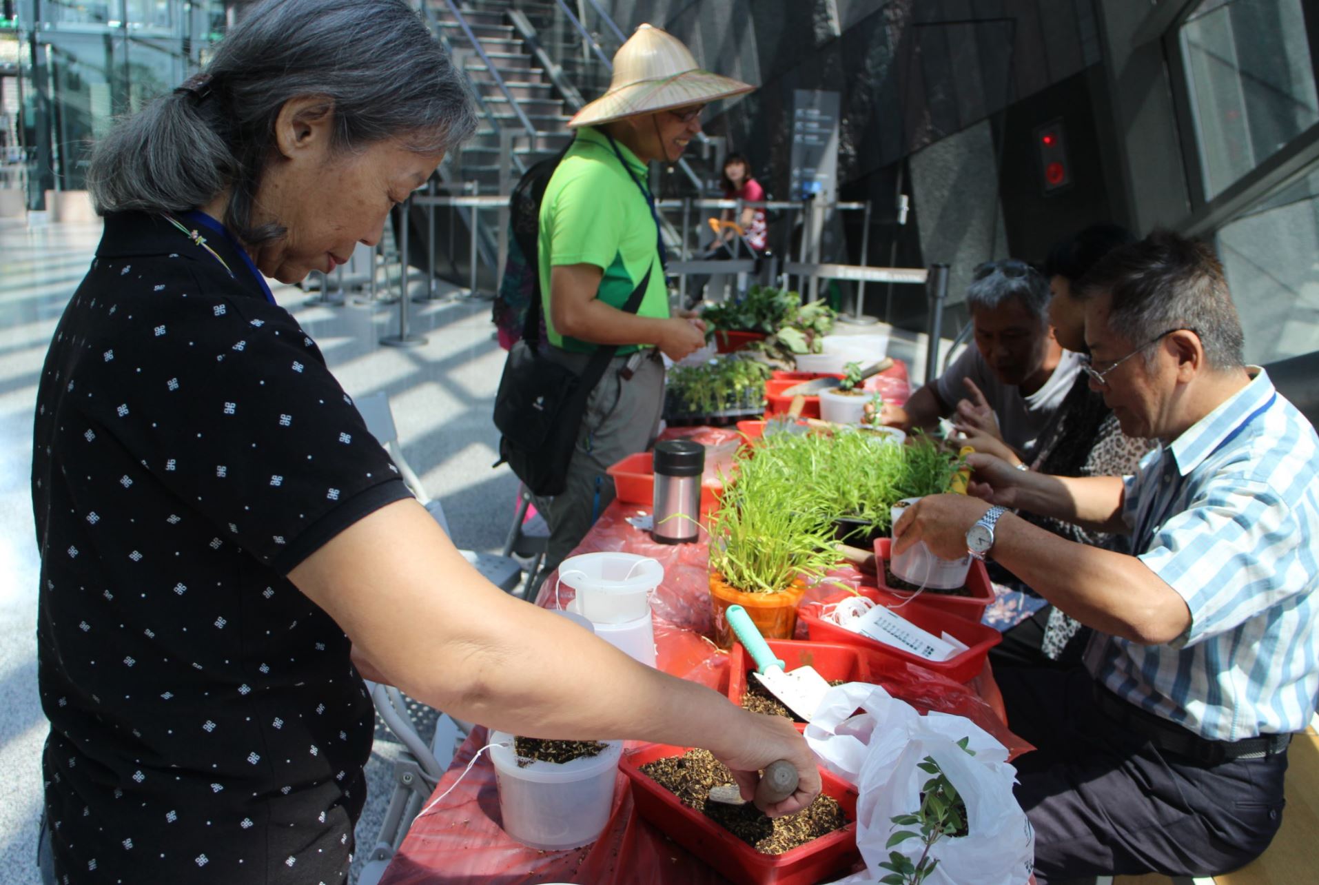 106年宜蘭縣環境教育展:遊客進行蔬菜盆栽製作(點擊放大)