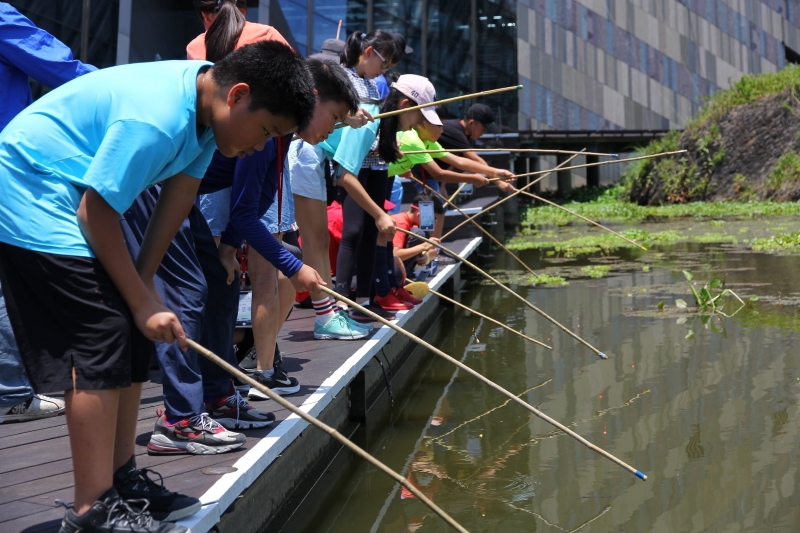 烏石港溼地小小公民科學家培訓營：魚類調查中