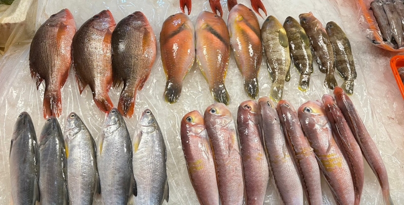 漁市場探險之旅：南方澳漁港魚貨照