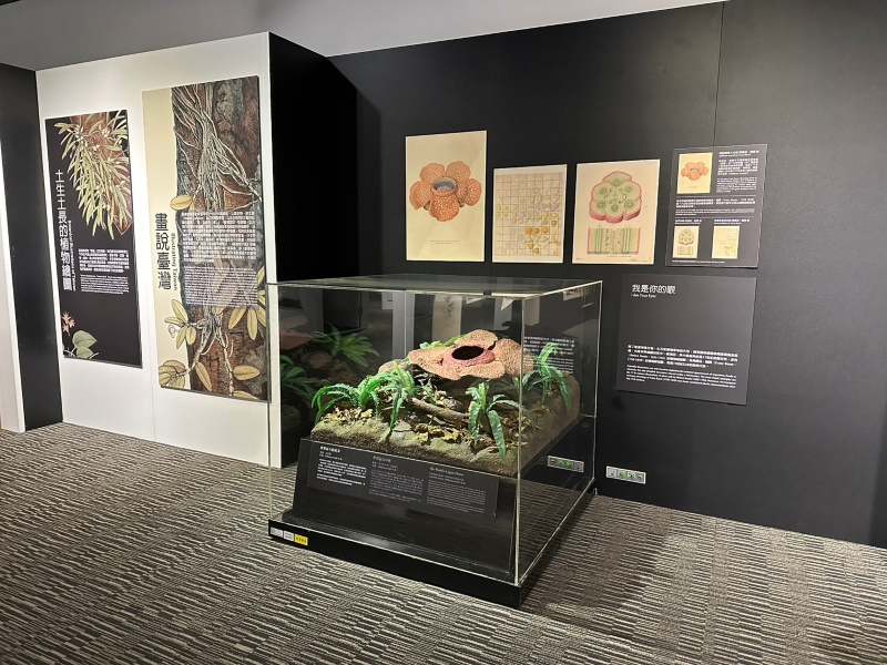 「繪自然-博物畫裡的臺灣特展」世界科學繪圖展示