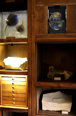 遺跡解謎「魟魚與海蛄蝦大戰」生痕化石特展展示櫃照片