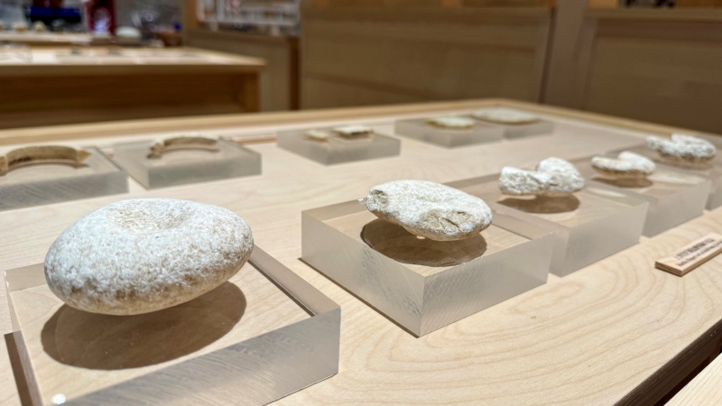 漢本遺址常見的大理岩