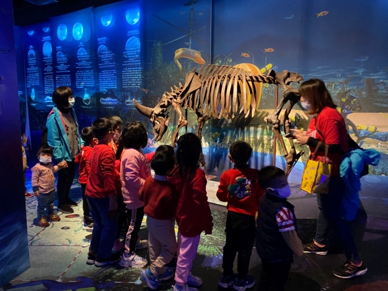 展覽有德氏水牛等珍貴標本及模型，讓大家有機會近距離接觸觀察