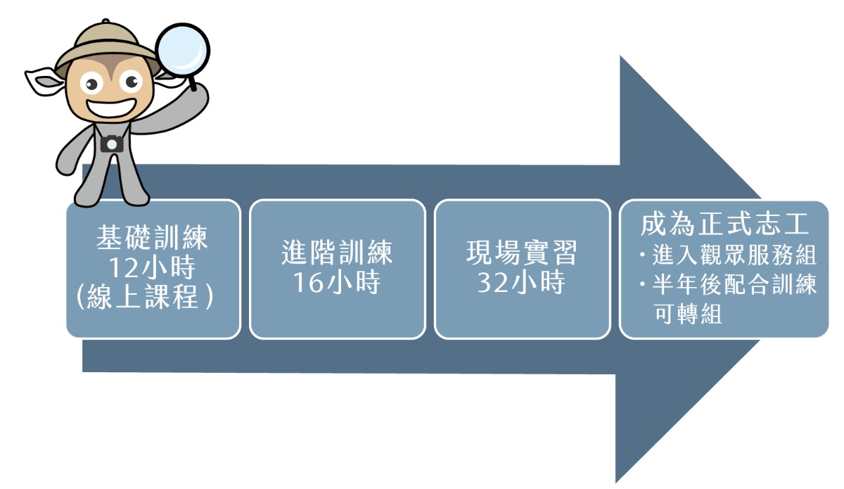 基礎訓練12小時 (線上課程) → 進階訓練16小時 → 現場實習32小時 →成為正式志工 (進入觀眾服務組，半年後配合訓練可轉組)